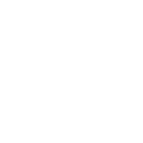 White Axure Logo